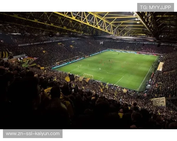 德甲新增反歧视官员，打击球场不当行为